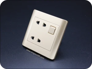 Doppelte zweipolige Buchse mit Schalter